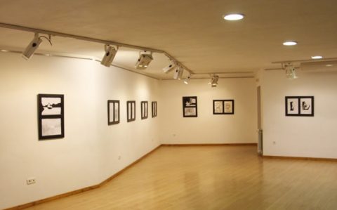 43fed-galeria